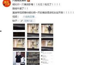 最新黑料爆料网,真相与谣言的交织