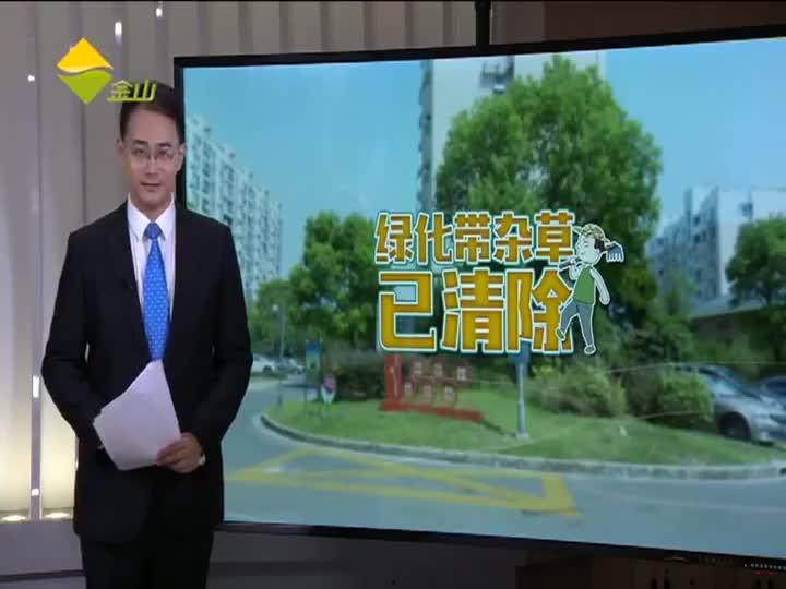 盐城蔡哥爆料最新消息视频,视频揭秘惊人内幕  第2张