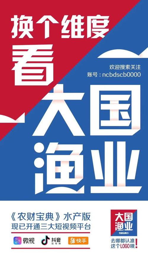 小蛙最新爆料新闻视频,最新爆料新闻视频深度解析  第3张